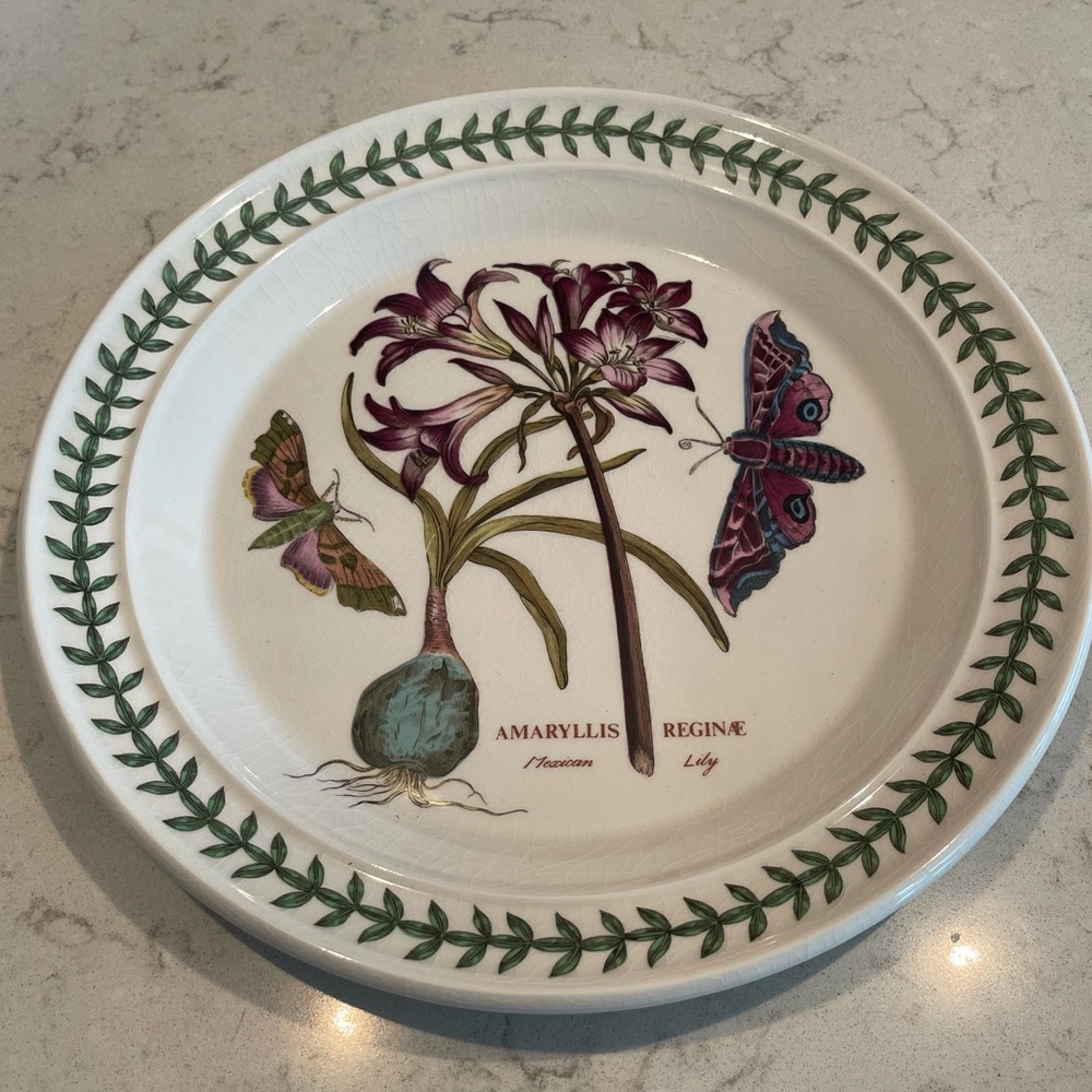 Portmeirion Botanic Garden Dinner Plate Christmas Rose Mexican Lily -Rare
